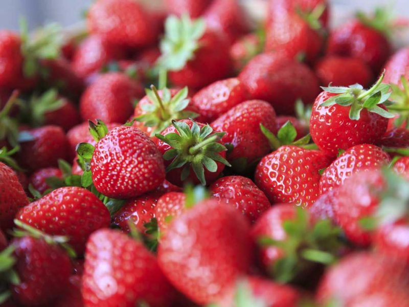 The Health Benefits of Strawberries